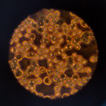 Nordstrom shares soar as it makes ‘baby steps’, still has a ways to go