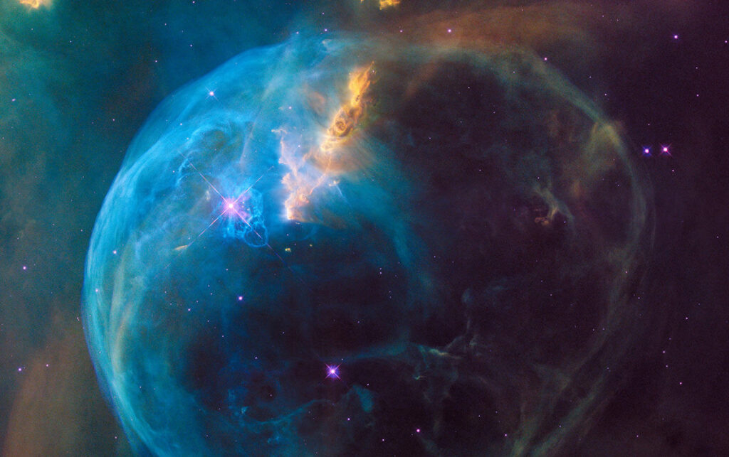 Scientists use ivory tusk DNA data to locate poaching networks